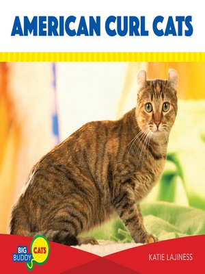 cover image of American Curl Cats